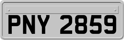 PNY2859
