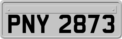 PNY2873
