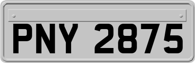 PNY2875