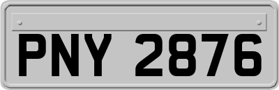 PNY2876