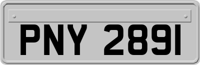 PNY2891