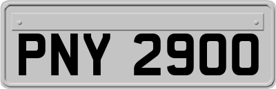 PNY2900