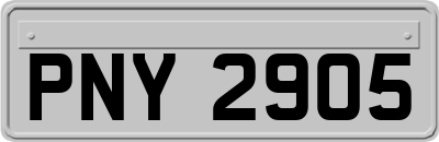 PNY2905