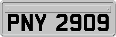 PNY2909