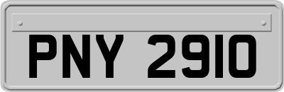 PNY2910