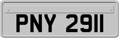 PNY2911