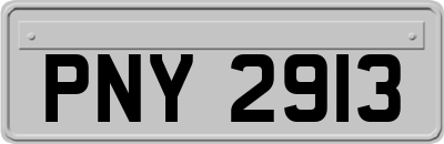PNY2913