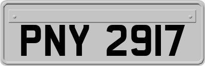 PNY2917
