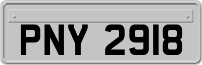 PNY2918