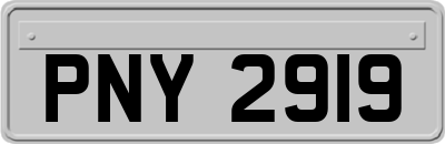 PNY2919