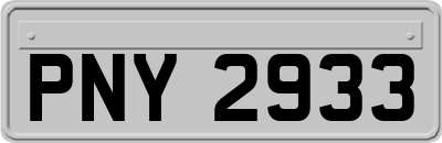 PNY2933