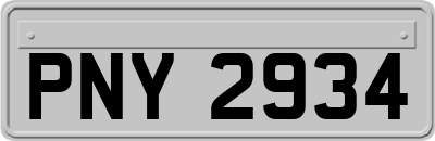 PNY2934