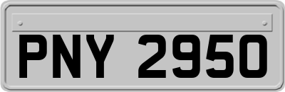 PNY2950