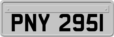 PNY2951