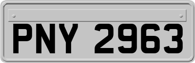 PNY2963