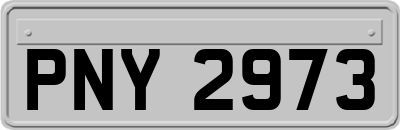 PNY2973