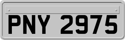 PNY2975