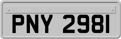 PNY2981