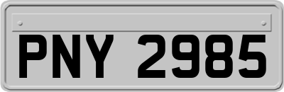 PNY2985