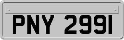 PNY2991