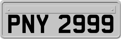 PNY2999