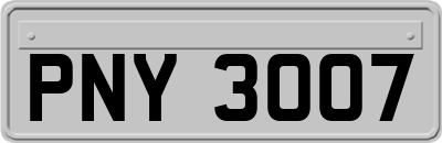 PNY3007