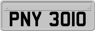 PNY3010