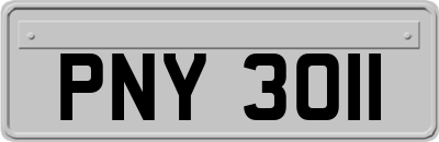 PNY3011