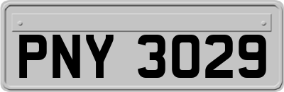 PNY3029