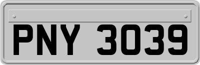 PNY3039