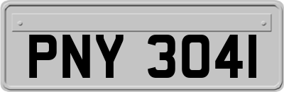 PNY3041