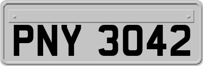 PNY3042