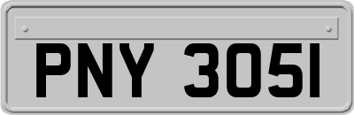 PNY3051