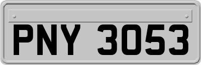 PNY3053