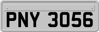 PNY3056