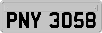 PNY3058
