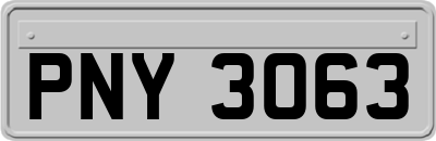 PNY3063