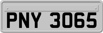 PNY3065