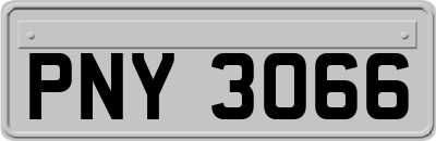 PNY3066