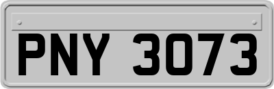 PNY3073