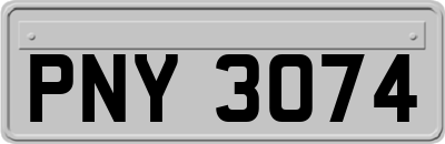PNY3074
