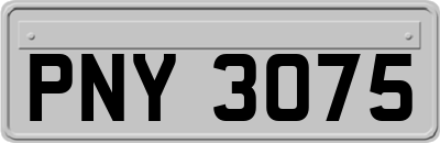 PNY3075