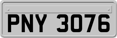 PNY3076