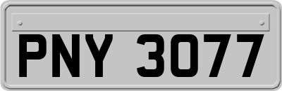 PNY3077