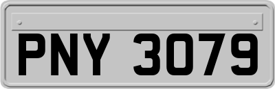 PNY3079