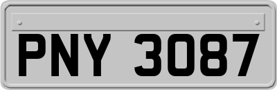 PNY3087