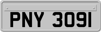 PNY3091