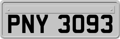PNY3093