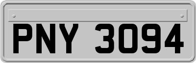 PNY3094