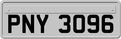 PNY3096